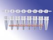 PCR<sup>®</sup>-Strips  &raquo; <br/>VE = 250 Streifen mit je 8 PCR® - Deckeln gewölbt &raquo; RC08
